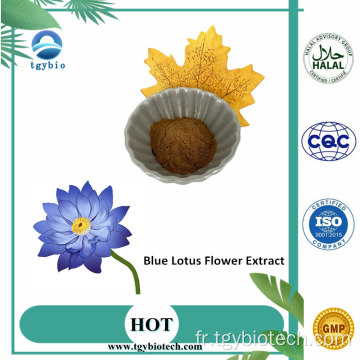 Extrait de fleur de lotus bleu en gros de qualité supérieure